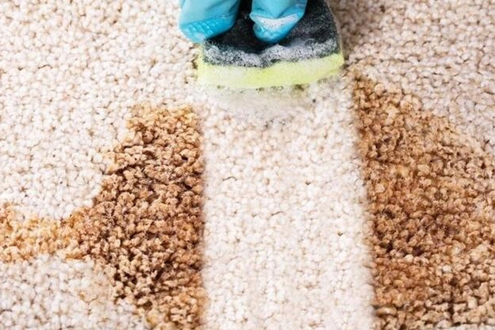 Çay Lekesi Çıkarma