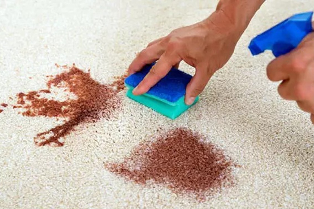 Çikolata Lekesi Çıkarma